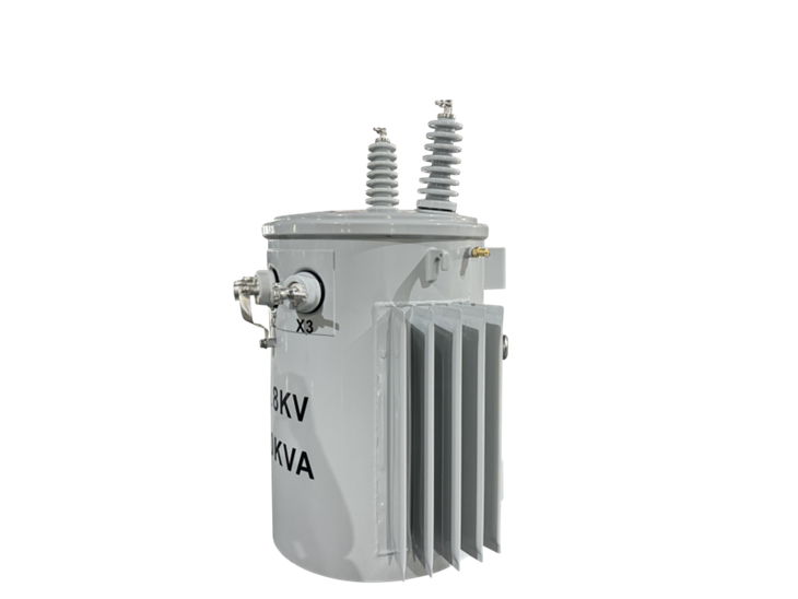 100 KVA Transformer Pole Mounted-13.8/0.24 KV | Guyana 2025 suppliers