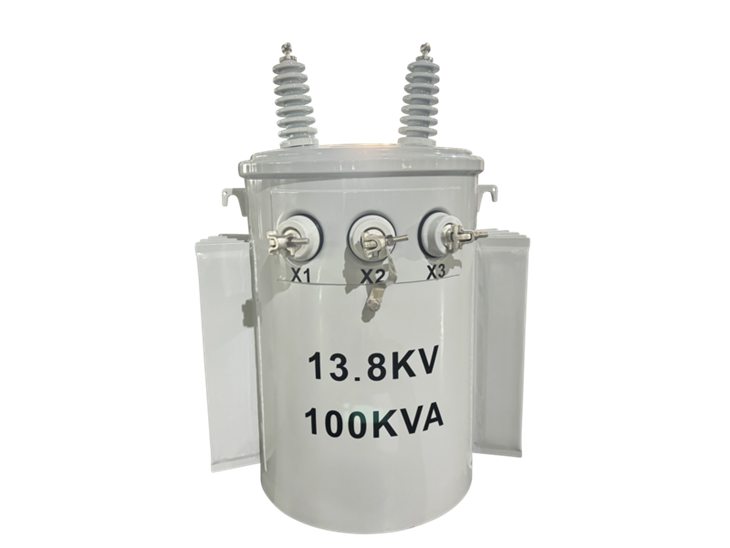 เสาหม้อแปลงไฟฟ้า 100 kVA แบบติด-13.8/0.24 kV|กายอานา 2025